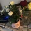 vickimoser28